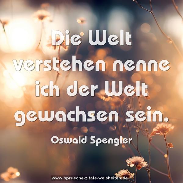 Die Welt verstehen nenne ich der Welt gewachsen sein.