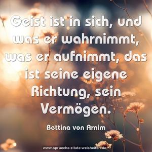 Geist ist in sich, und was er wahrnimmt,
was er aufnimmt,
das ist seine eigene Richtung, sein Vermögen.