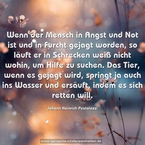 Wenn der Mensch in Angst und Not ist und in Furcht gejagt worden, so läuft er in Schrecken weiß nicht wohin, um Hilfe zu suchen. Das Tier, wenn es gejagt wird, springt ja auch ins Wasser und ersäuft, indem es sich retten will.