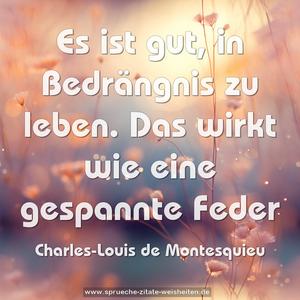 Es ist gut, in Bedrängnis zu leben.
Das wirkt wie eine gespannte Feder