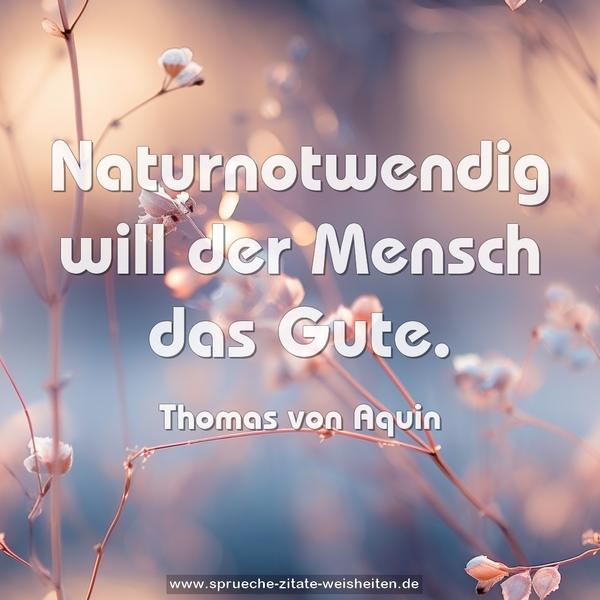 Naturnotwendig will der Mensch das Gute.