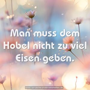 Man muss dem Hobel nicht zu viel Eisen geben.