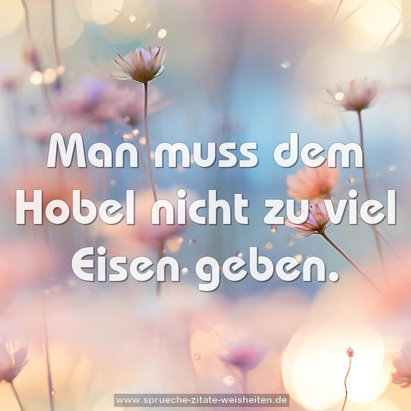 Man muss dem Hobel nicht zu viel Eisen geben.