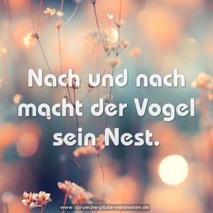 Nach und nach macht der Vogel sein Nest.