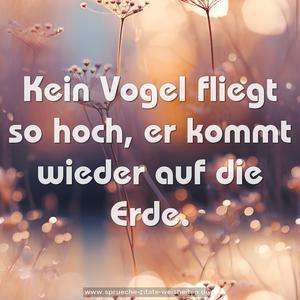 Kein Vogel fliegt so hoch, er kommt wieder auf die Erde.