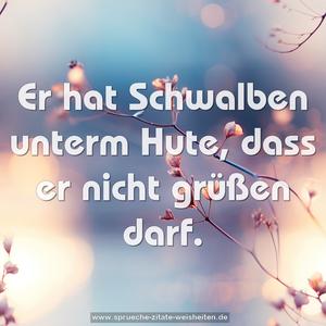 Er hat Schwalben unterm Hute, dass er nicht grüßen darf.