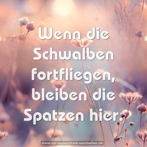 Wenn die Schwalben fortfliegen, bleiben die Spatzen hier.