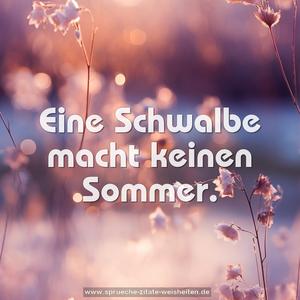 Eine Schwalbe macht keinen Sommer.