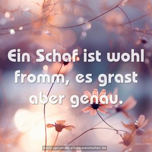 Ein Schaf ist wohl fromm, es grast aber genau.