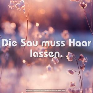 Die Sau muss Haar lassen.