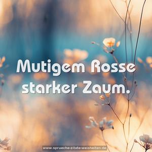 Mutigem Rosse starker Zaum.