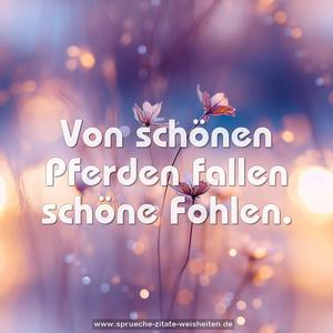 Von schönen Pferden fallen schöne Fohlen.