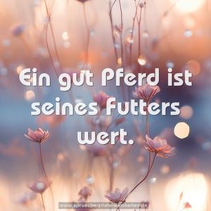 Ein gut Pferd ist seines Futters wert.