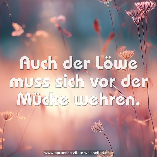 Auch der Löwe muss sich vor der Mücke wehren.