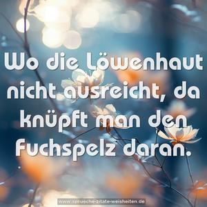 Wo die Löwenhaut nicht ausreicht, da knüpft man den Fuchspelz daran.