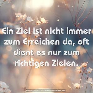 Ein Ziel ist nicht immer zum Erreichen da,
oft dient es nur zum richtigen Zielen.