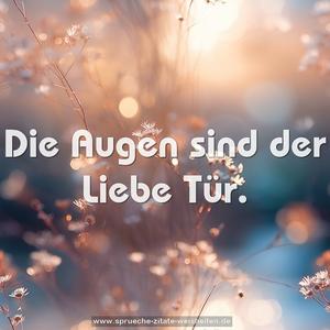 Die Augen sind der Liebe Tür.