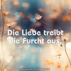 Die Liebe treibt die Furcht aus.