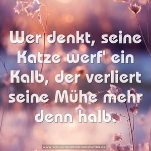 Wer denkt, seine Katze werf' ein Kalb,
der verliert seine Mühe mehr denn halb.