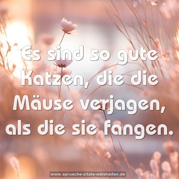 Es sind so gute Katzen, die die Mäuse verjagen, als die sie fangen.