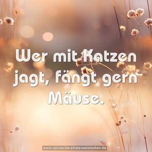 Wer mit Katzen jagt, fängt gern Mäuse.