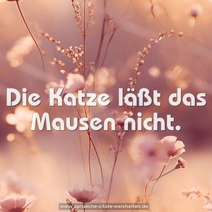 Die Katze läßt das Mausen nicht.