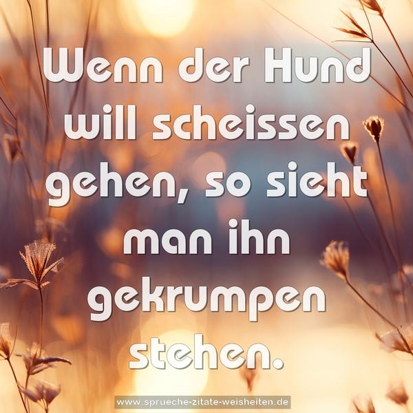 Wenn der Hund will scheissen gehen,
so sieht man ihn gekrumpen stehen.