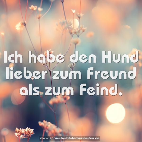 Ich habe den Hund lieber zum Freund als zum Feind.