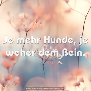Je mehr Hunde, je weher dem Bein.