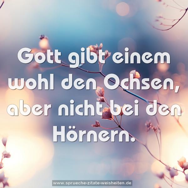 Gott gibt einem wohl den Ochsen,
aber nicht bei den Hörnern.