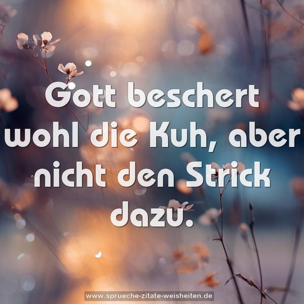 Gott beschert wohl die Kuh,
aber nicht den Strick dazu.