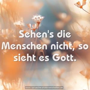Sehen's die Menschen nicht, so sieht es Gott.