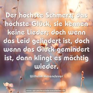 Der höchste Schmerz, das höchste Glück,
sie kennen keine Lieder;
doch wenn das Leid gelindert ist,
doch wenn das Glück gemindert ist,
dann klingt es mächtig wieder.