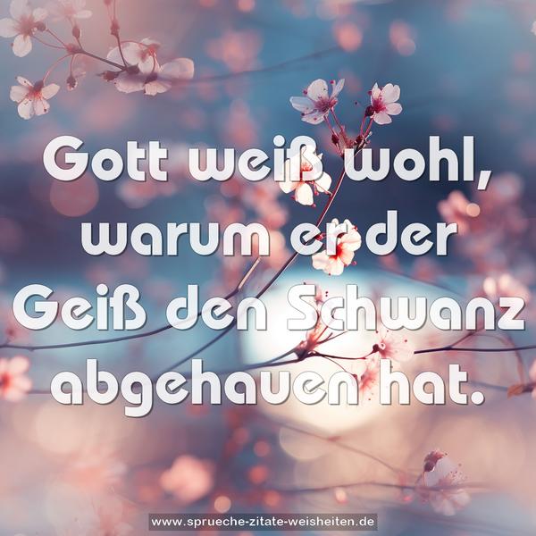 Gott weiß wohl, warum er der Geiß den Schwanz abgehauen hat.