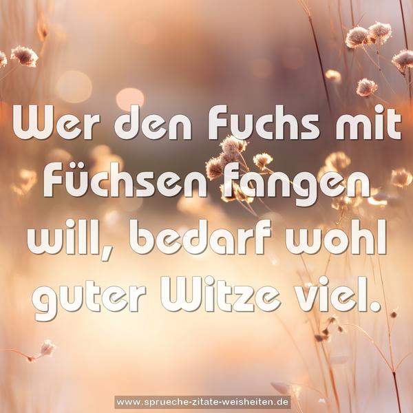 Wer den Fuchs mit Füchsen fangen will,
bedarf wohl guter Witze viel.