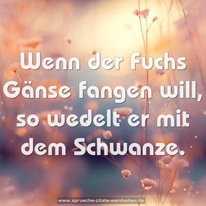 Wenn der Fuchs Gänse fangen will,
so wedelt er mit dem Schwanze.