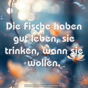 Die Fische haben gut leben, sie trinken, wann sie wollen.
