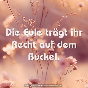 Die Eule trägt ihr Recht auf dem Buckel.