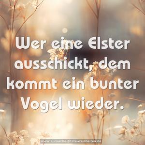 Wer eine Elster ausschickt,
dem kommt ein bunter Vogel wieder.