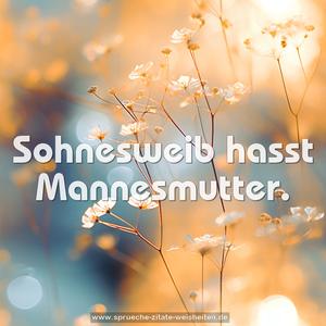 Sohnesweib hasst Mannesmutter.