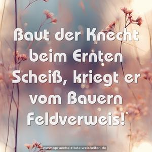 Baut der Knecht beim Ernten Scheiß,
kriegt er vom Bauern Feldverweis! 