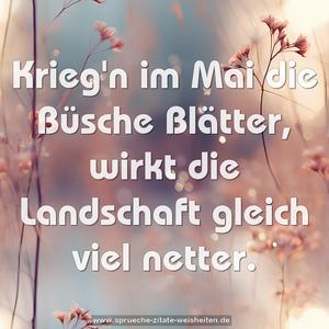 Krieg'n im Mai die Büsche Blätter,
wirkt die Landschaft gleich viel netter. 