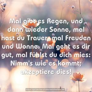 Mal gibt es Regen, und dann wieder Sonne,
mal hast du Trauer, mal Freuden und Wonne.
Mal geht es dir gut, mal fühlst du dich mies:
Nimm's wie es kommt; akzeptiere dies!