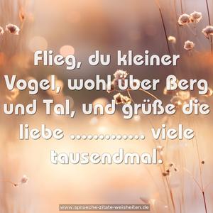 Flieg, du kleiner Vogel,
wohl über Berg und Tal,
und grüße die liebe .............
viele tausendmal.