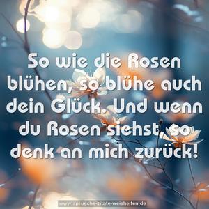 So wie die Rosen blühen,
so blühe auch dein Glück.
Und wenn du Rosen siehst,
so denk an mich zurück!