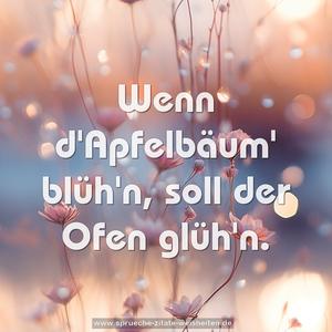 Wenn d'Apfelbäum' blüh'n,
soll der Ofen glüh'n.