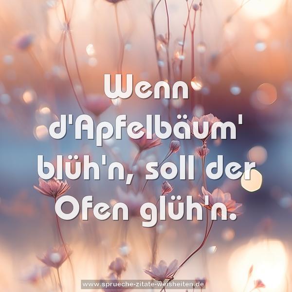 Wenn d'Apfelbäum' blüh'n,
soll der Ofen glüh'n.