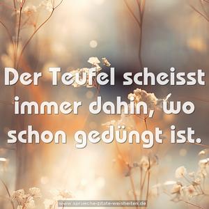 Der Teufel scheisst immer dahin,
wo schon gedüngt ist.