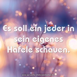 Es soll ein jeder in sein eigenes Häfele schauen.