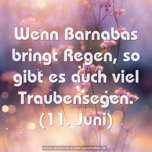 Wenn Barnabas bringt Regen,
so gibt es auch viel Traubensegen.
(11. Juni)